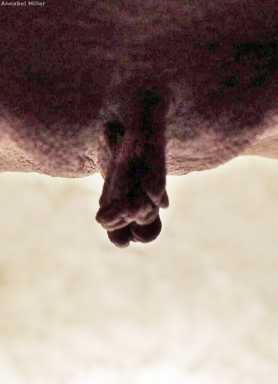 Uninhibited granny shows her mature protruding clitoris in extreme closeups